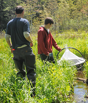 Student and faculty collecting specimens for testing