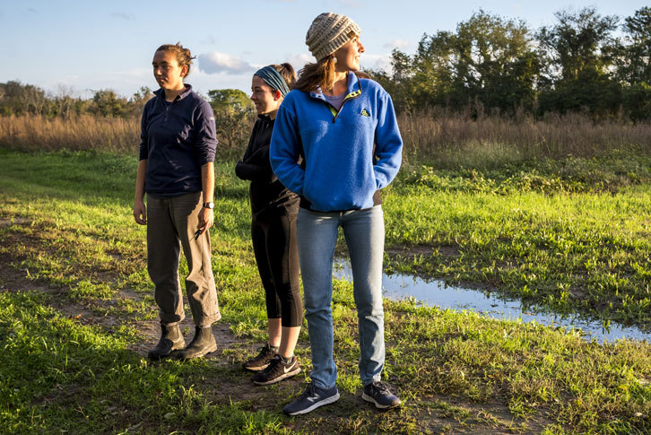 Three female students stand in a field watching for raptors. 