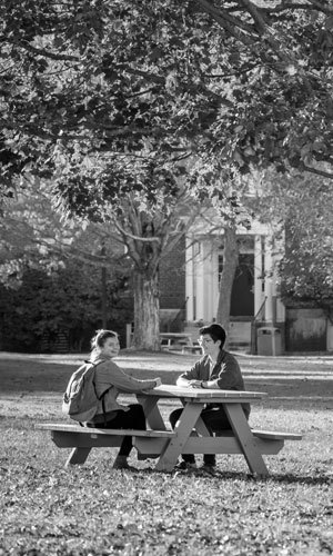Students sitting at picnic table